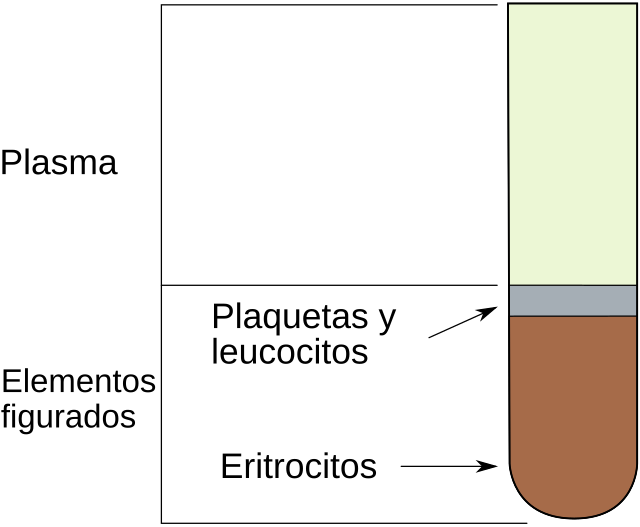 Volemia - Wikipedia, la enciclopedia libre