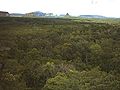 Miniatura para Parque nacional Cerro Corá