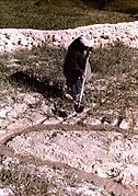 Afghan irrigation, 1976