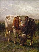 Stier en koe in de Oosterbeekse uiterwaarden