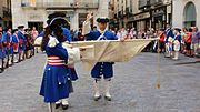 Miniatura per Miquelets de Girona