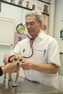 <span class="mw-page-title-main">Veterinary medicine in the United States</span> Medical treatment of animals in the United States