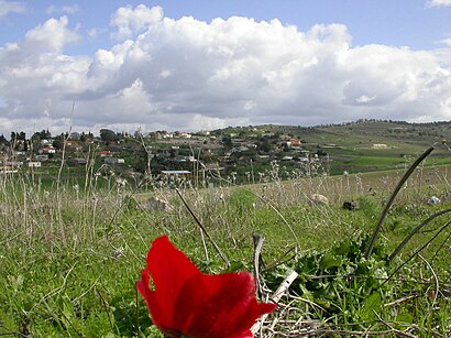 איך מגיעים באמצעות תחבורה ציבורית  לכפר אוריה ב? - מידע על המקום