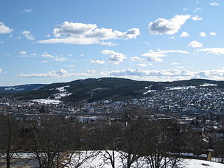 <span class="mw-page-title-main">Kongsvinger (town)</span> Town in Eastern Norway, Norway