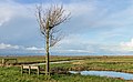 Kop Blokslootpolder (Bloksleatpolder). Panorama.