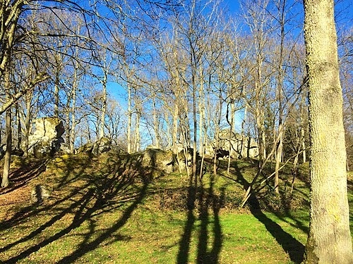 Rideau métallique Les Bordes (89500)