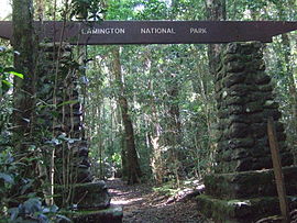 Lamington National Park things to do in Natural Bridge