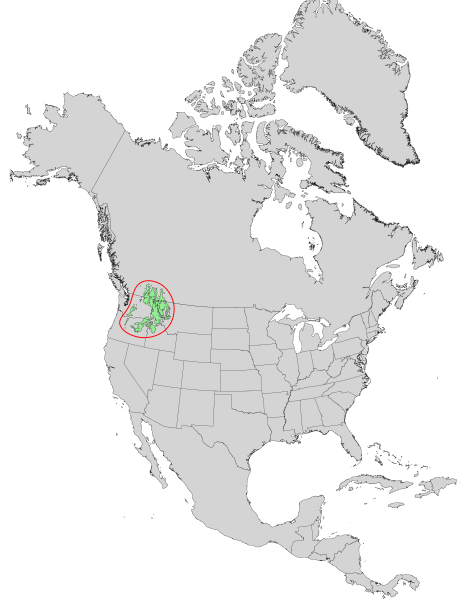 File:Larix occidentalis range map 0.png