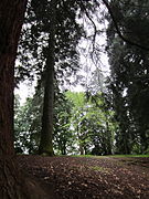 Laurelhurst Park (2012)