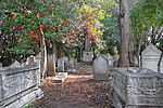 Vignette pour Cimetière juif de Venise