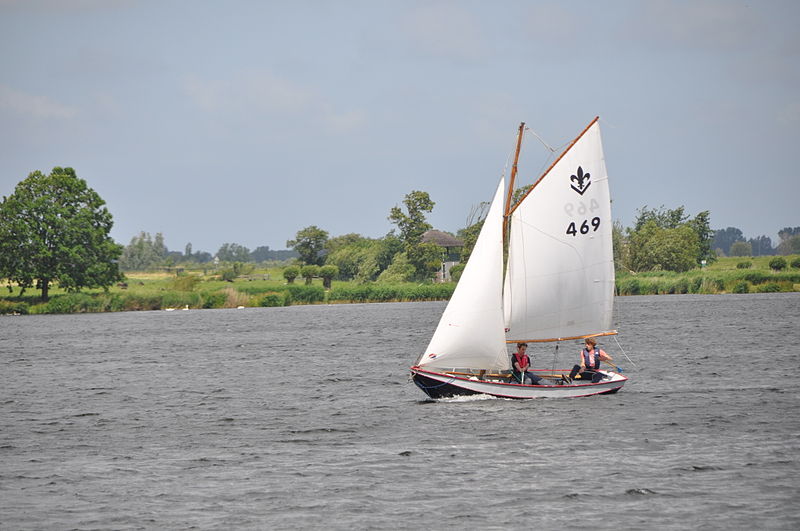 File:Lelievlet 469 van Scouting Pocahontas in Zoetermeer (01).JPG