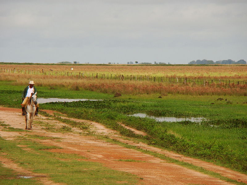 File:Llano abierto.JPG