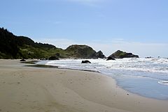 Playa de Lone Ranch.JPG