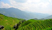 Longsheng Rice Terraces