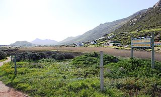 Lower Silvermine River Wetlands Nature reserve on the Cape Peninsula, in Cape Town, South Africa