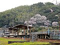 こどもの国駅プラットホーム