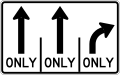 R3-H8cb Lane Use Control Sign (T-T-R)