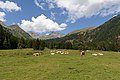 * Nomination Tauern Valley, High Tauern National Park, Carinthia, Austria --Uoaei1 04:29, 1 September 2022 (UTC) * Promotion  Support Good quality.--Agnes Monkelbaan 04:35, 1 September 2022 (UTC)