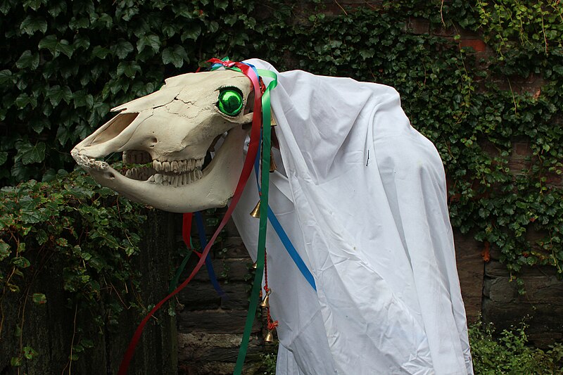 File:Mari Lwyd (wiki).jpg