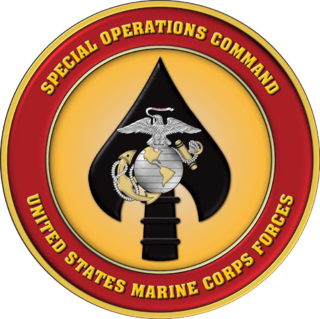 United States Marine Forces Special Operations Command United States Marine Corps component command