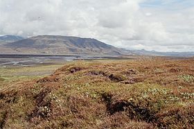 La Markarfljót près de Þórsmörk avec le Þórólfsfell en arrière-plan.