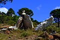 Dolmen dit Cova a la serra de l'Albera