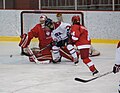 Thumbnail for 2011–12 McGill Martlets women's ice hockey season