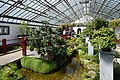 * Nomination Greenhouse, Montreal Botanical Garden. --King of Hearts 04:53, 28 September 2017 (UTC) * Promotion Good quality. -- Johann Jaritz 06:52, 28 September 2017 (UTC)