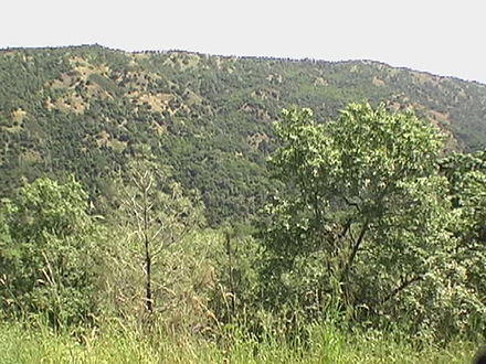 Mount Sizer is a 3,000-foot mountain on the edge of Henry Coe State Park