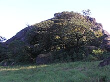 Munikal Caves (Pakshi Pathalam) Munikal Caves.JPG