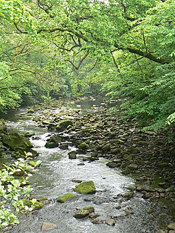 Murk Esk - geograph.org.uk - 827450