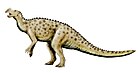 Muttaburrasaurus NT.jpg