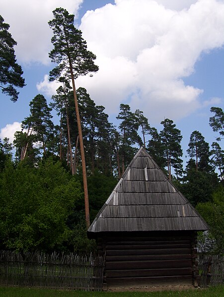 File:Muzeul Tehnicii Populare - Muzeul Civilizaţiei Populare ASTRA, Casa de lemn.jpg