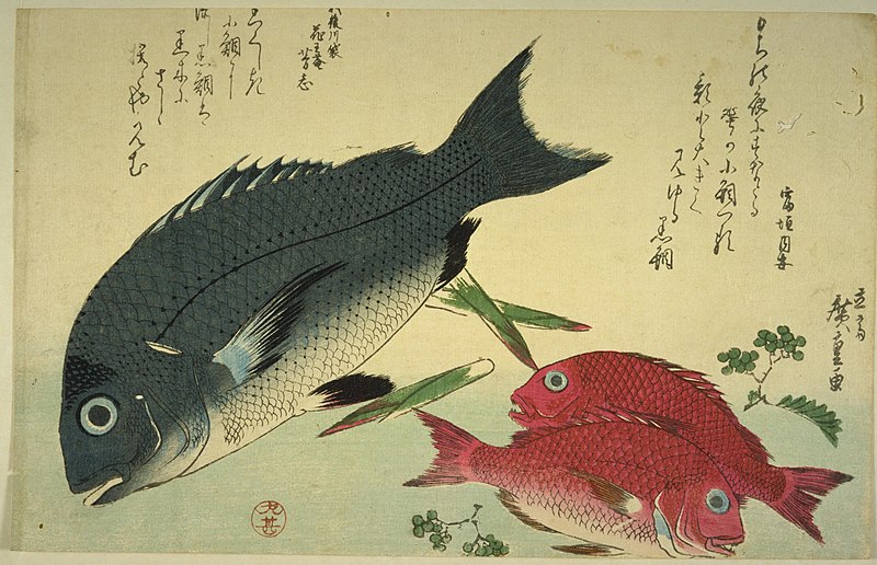 Category:Every Variety of Fish (Sakana dukushi) by Utagawa