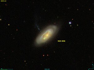NGC 2856 SDSS.jpg