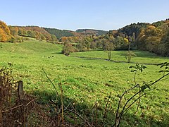 Tal der Ennepe (zwischen Talsperre und Burg)