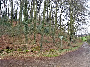 Steeger Berg nature reserve near Hauserhof