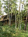 Čeština: Přírodní památka Na skalách nedaleko Rabštejnské Lhoty v okrese Chrudim English: Nature Monument Na skalách near Rabštejnská Lhota in Chrudim District