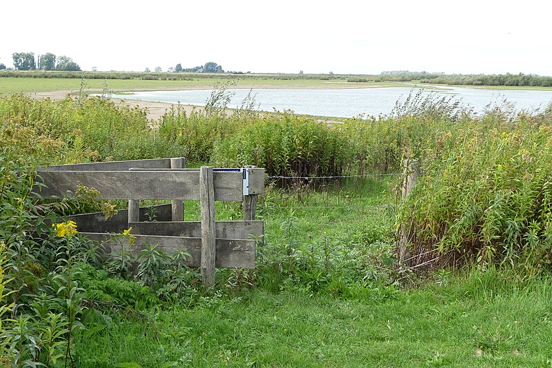 File:Natuur Tiengemeten P1290808.jpg