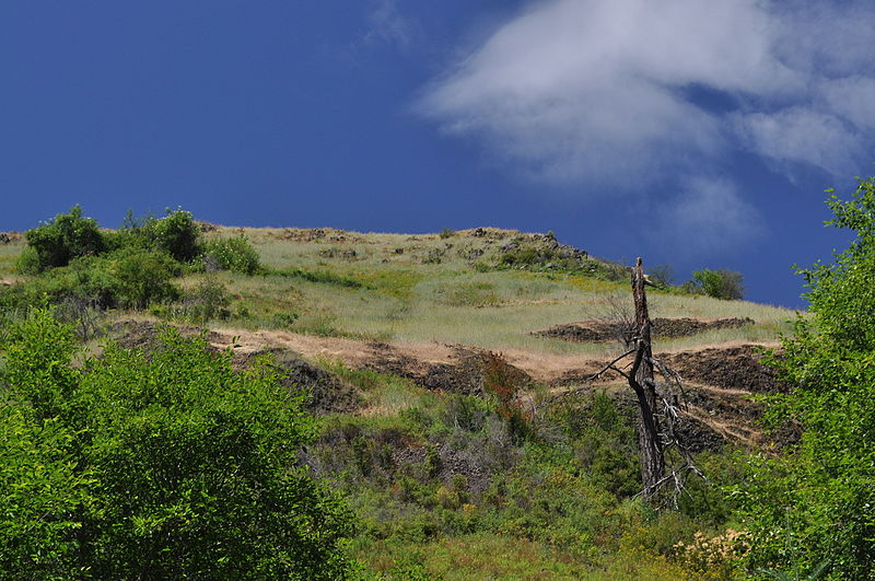 File:Near-cottonwood-idaho-07212011-rogermpeterson-002 (6080552091).jpg