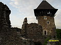 Nevitsky Castle 13.JPG