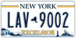 New York Excelsior Plate 2020-present LAV9002.png