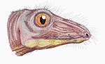 Thumbnail for Nikkasaurus