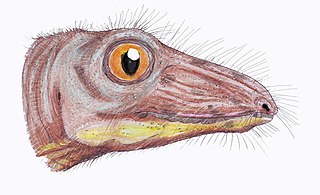 <i>Nikkasaurus</i>