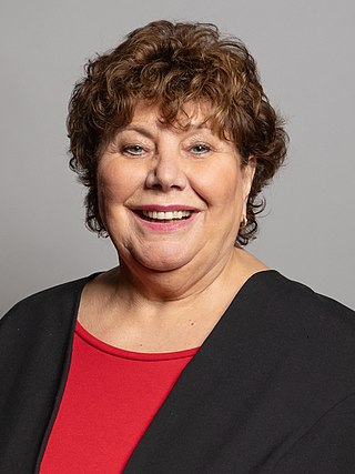 <span class="mw-page-title-main">Marie Rimmer</span> British Labour politician