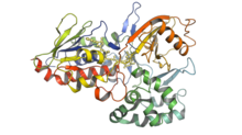 Oryza-sativa-phytoène-désaturase-PDB-5mog.png