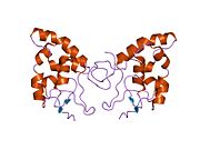 1ijy: Kristalna struktura cisteinom bogatog domena mišjeg uvojitog receptora 8 (MFZ8)