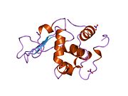 PDB 1jkc EBI.jpg