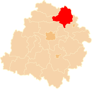 <span class="mw-page-title-main">Łowicz County</span> County in Łódź Voivodeship, Poland