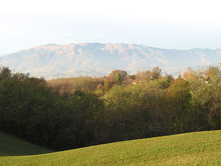 Paesaggio dal Montello